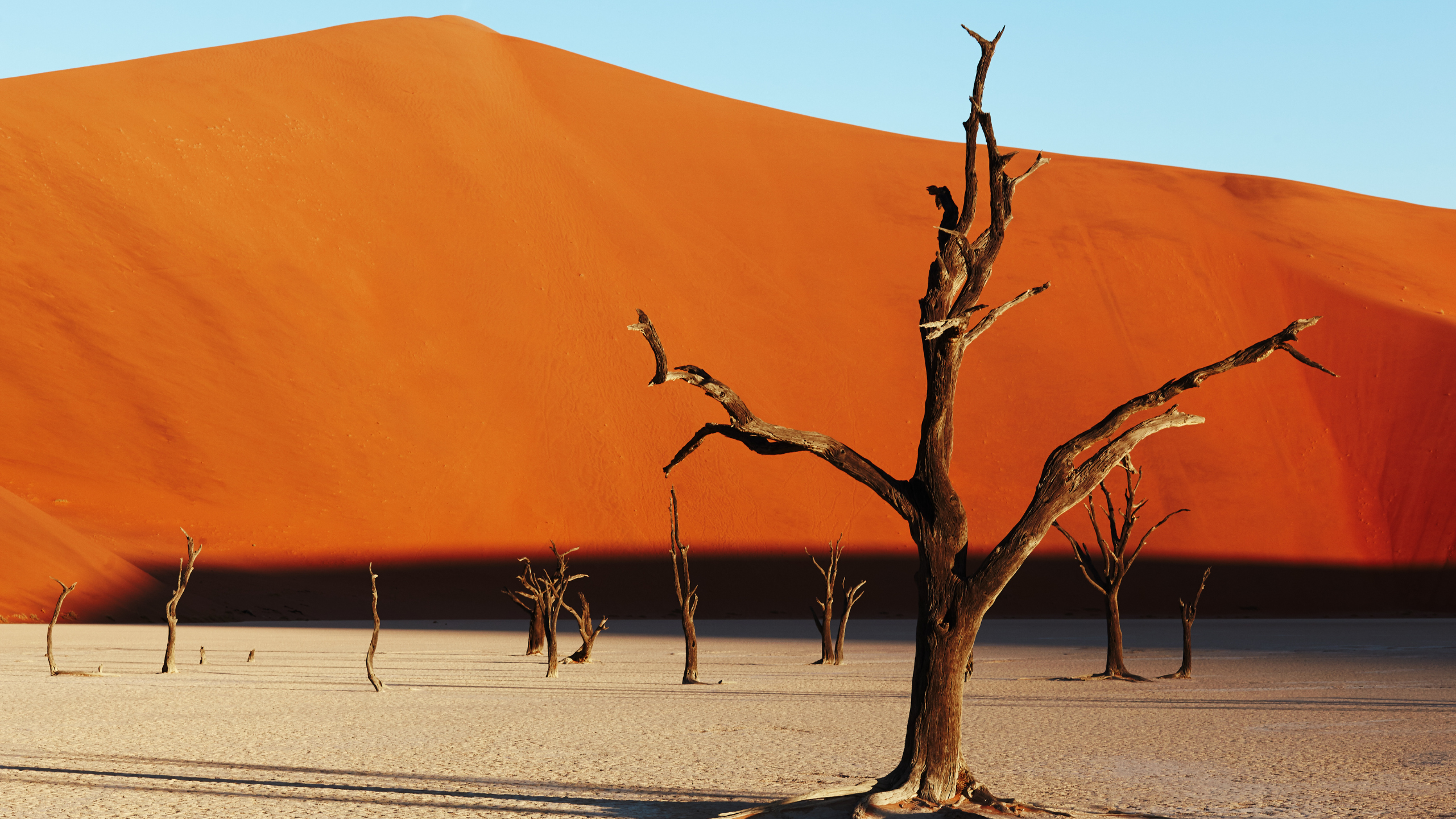 Namib Desert in Namibia, Africa is the oldest desert in the world