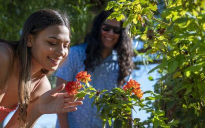 Slow Down in Gilbert, Arizona