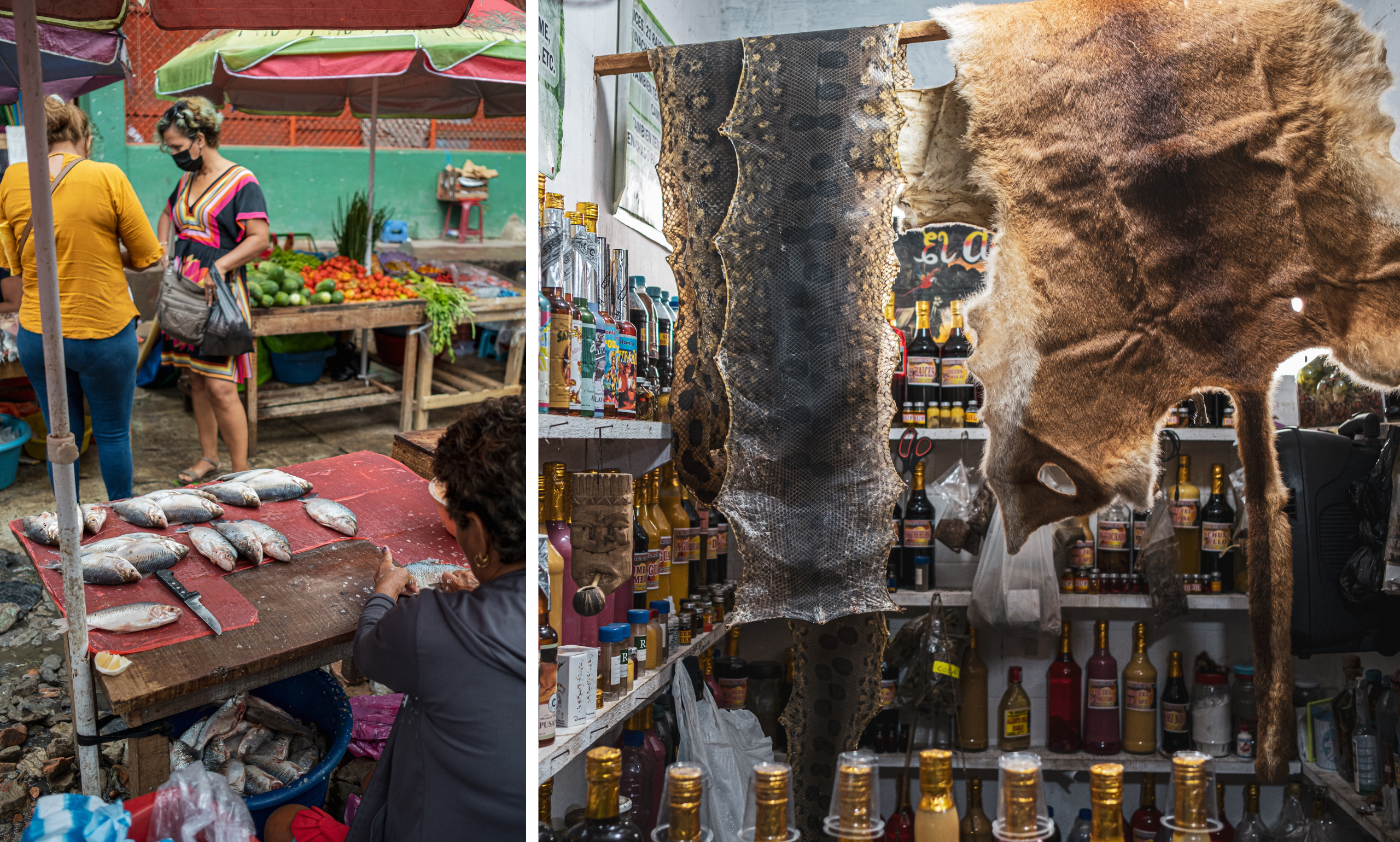 Belen is known for its lively markets in Iquitos Peru