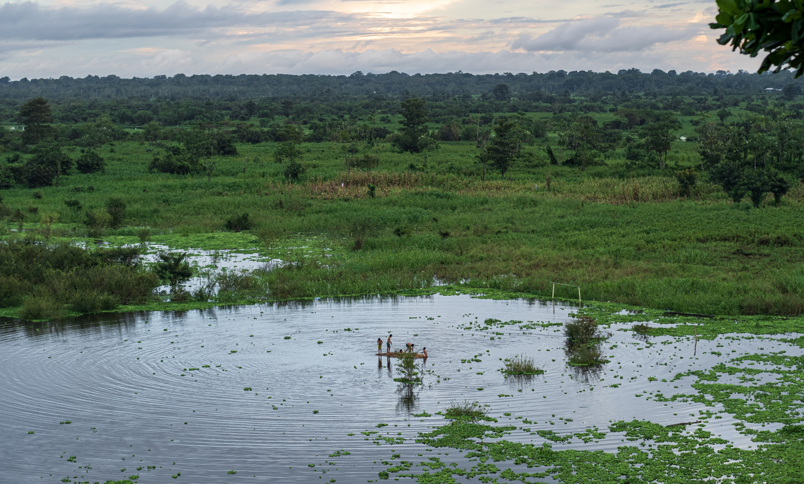 Life on the Amazon River