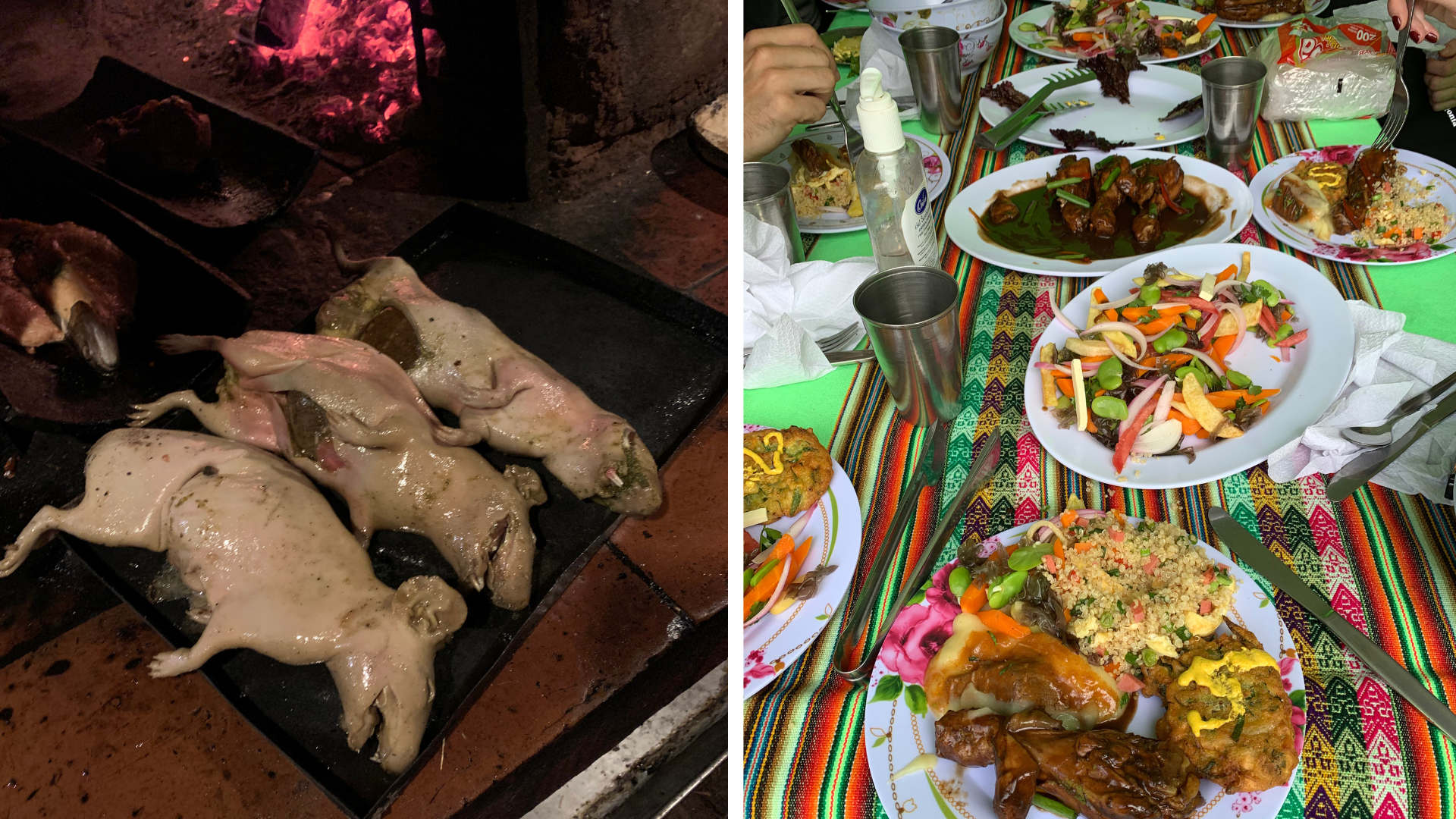 Traditional Peruvian Cuisine includes roasted guinea pig, pork, potatoes, plantains and fish