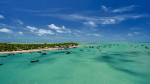 Gulf of Mannar Marine National Park