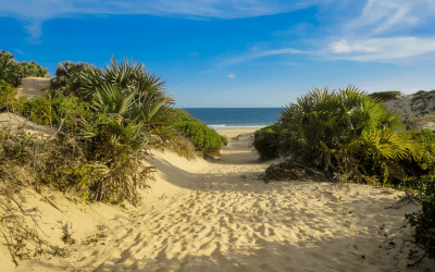 12 Islands Without Cars