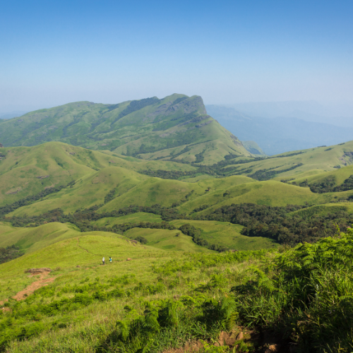 Trekking in Kudremukh National Park, India