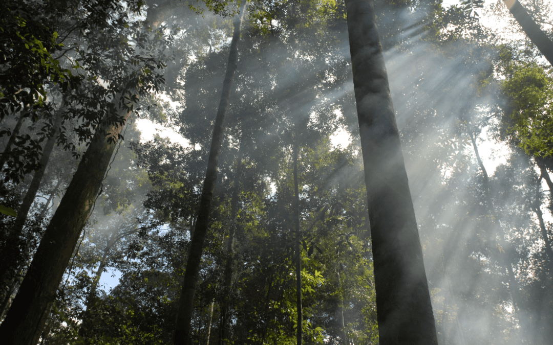 In Defense of Travel