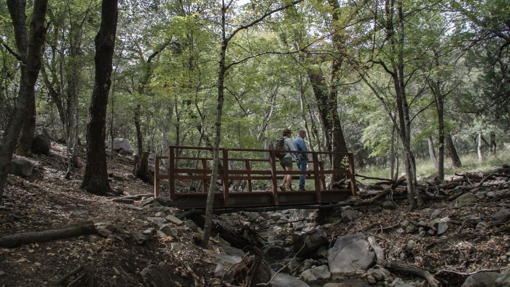 People walking in Ramsay Canyon in Sierra Vista, AZ