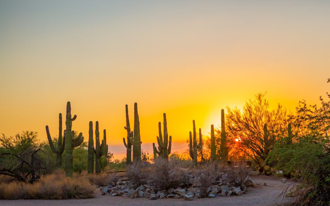 How To Spend A Long Weekend in Gilbert, Arizona