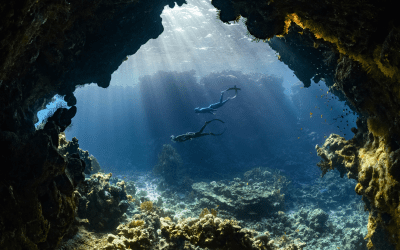 Unique Swimming and Snorkeling Destinations Around the World