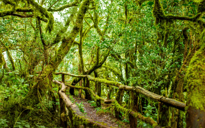 The Side of Spain Worth Going Back For