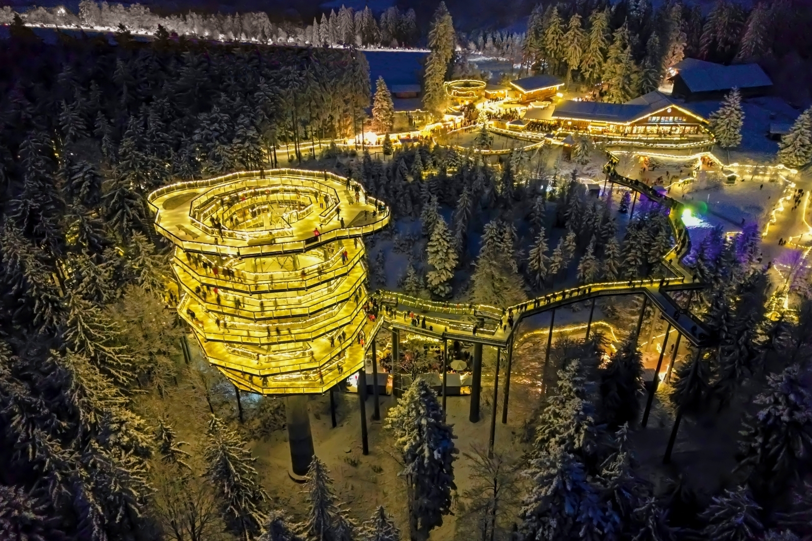 A canopy walk in a Bavarian forest at night in the winter, covered in lights.