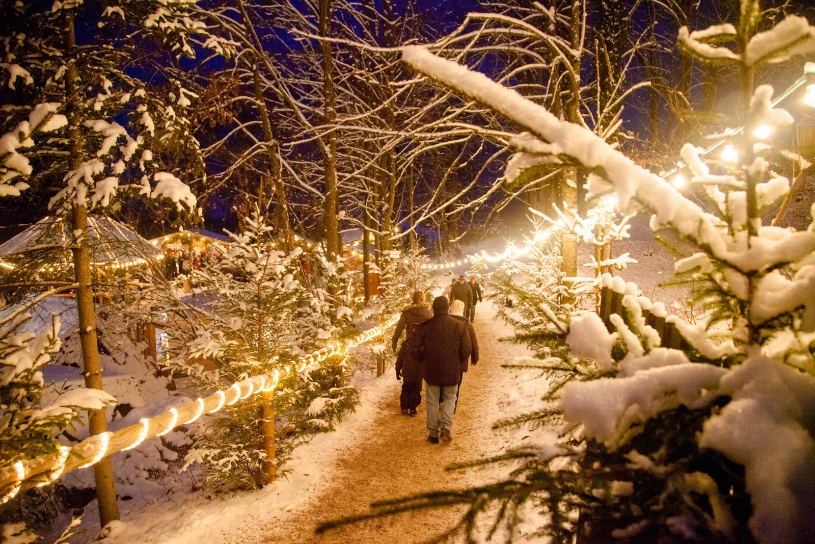People walking through a Bavarian forest at night, surrounded by Christmas lights.